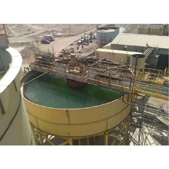 Verfahren zur Gewinnung Seltener Edelmetalle aus Tailings